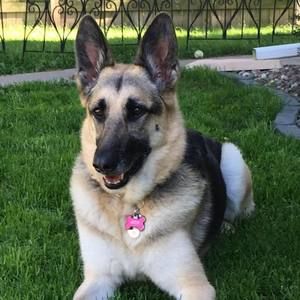 Meet your Posher, Jane